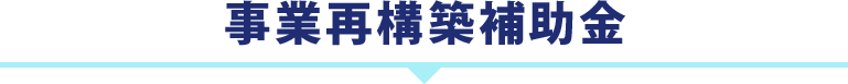事業再構築補助金